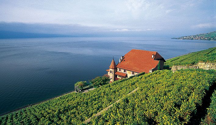 &copy; Clos des Abbayes